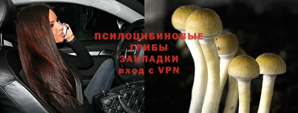 крисы Михайлов