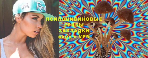 крисы Михайлов