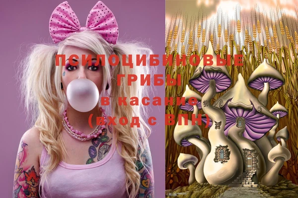 крисы Михайлов