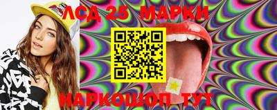 гидропоника Жуковский