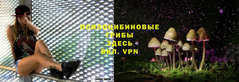 Галлюциногенные грибы Magic Shrooms  Новосибирск 