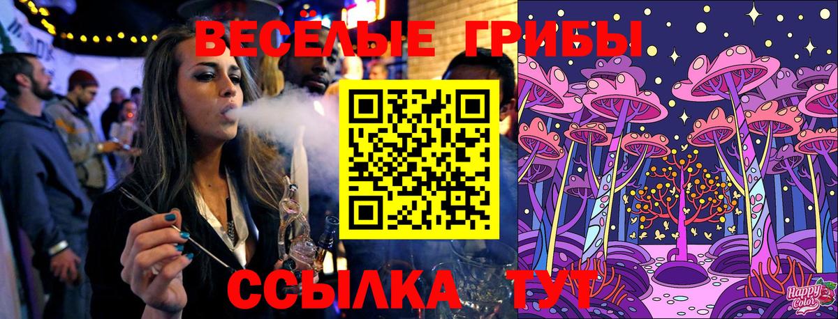 цена наркотик  Новосибирск  Псилоцибиновые грибы MAGIC MUSHROOMS  Галлюциногенные грибы мицелий 