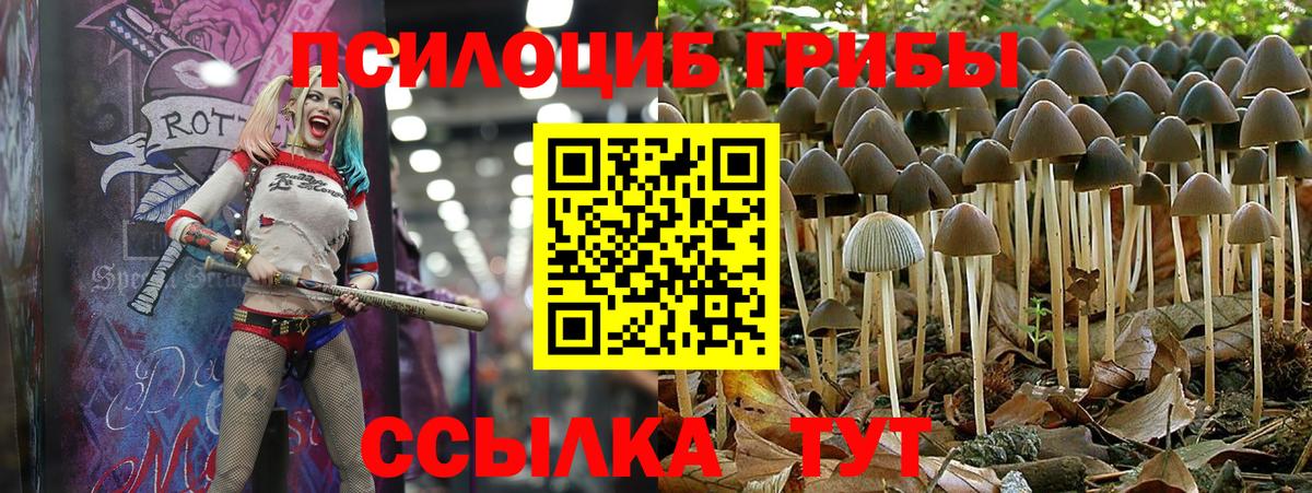 Галлюциногенные грибы MAGIC MUSHROOMS  Вход с VPN  Псилоцибиновые грибы прущие грибы  Новосибирск 